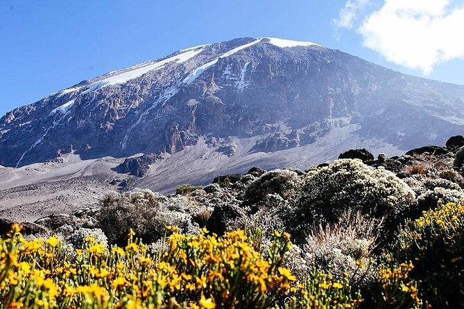 7 Days Kilimanjaro Trekking Machame Route - Day three: Lava Tower, the Shark’s Tooth, and Barranco Camp
