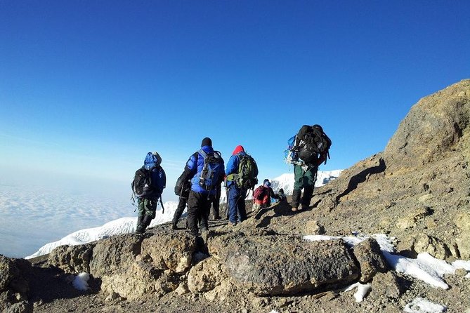 7 Days Kilimanjaro Trekking Machame Route with Professional Guide - Day 1 in Arusha: briefing before the climb
