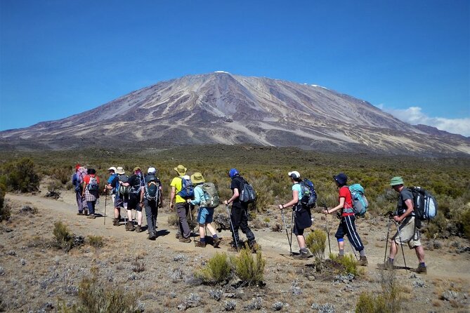 7 Days Kilimanjaro Trekking Machame Route with Professional Guide - Day 7: Stella Point, Uhuru Peak, and the longest day