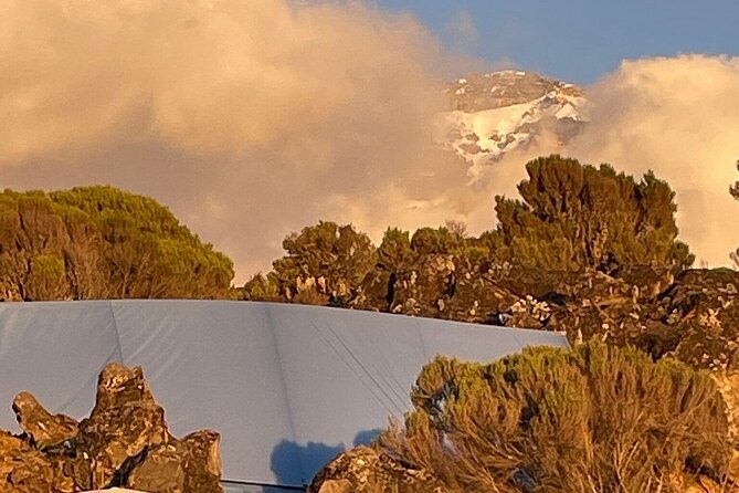 7 Days Kilimanjaro Trekking Machame Route - Day one: Machame Gate to montane forest