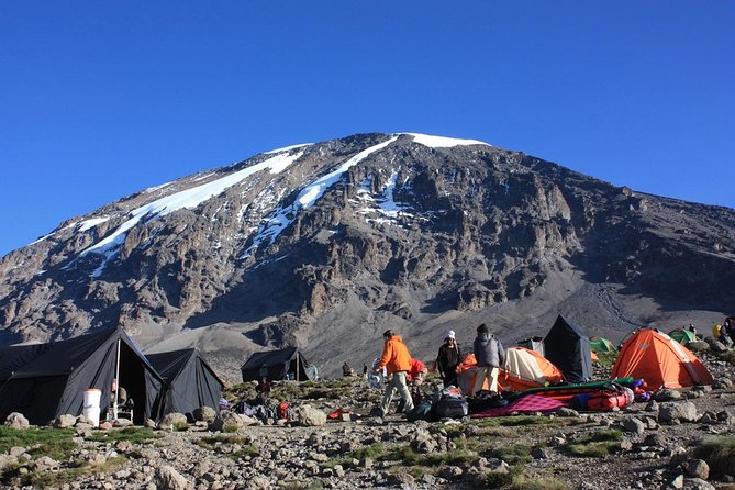 7 Days Machame Route Kilimanjaro Trekking - Key points before you book