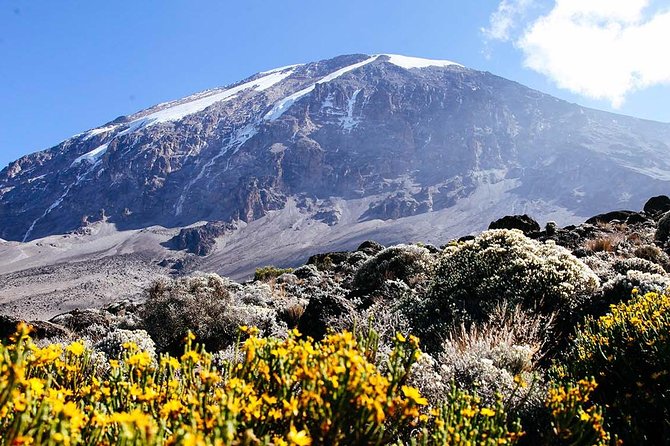 7 Days Machame Route Trek Mount Kilimanjaro - Why the Machame Route works well in seven days
