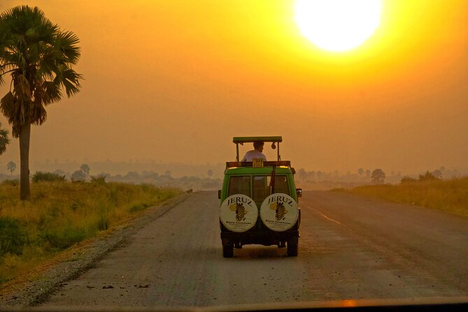 7 Days Safari and Rhino Trekking - Key points before you book
