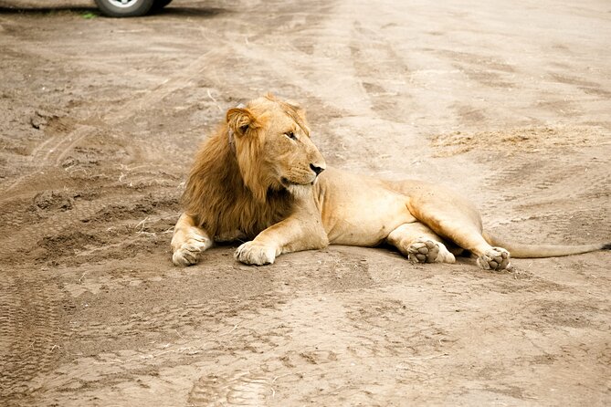 7 Days Safari and Rhino Trekking - Day 5: Murchison Falls and the Nile