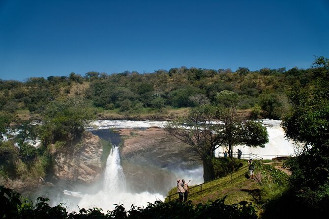 7 Days Safari and Rhino Trekking - Day 2: Queen Elizabeth and the Kazinga Canal