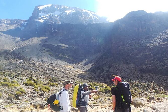 7-Days Tour Mount Kilimanjaro Trekking via Machame Route - Day 4: Barranco Wall and Karanga Camp