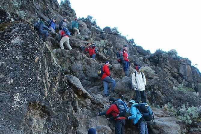 7-Days Tour Mount Kilimanjaro Trekking via Machame Route - Camping, crew, and what the price covers