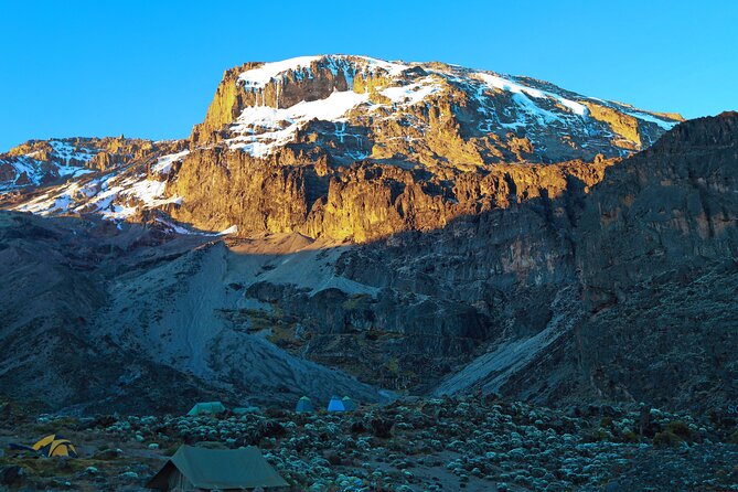 8 Day Kilimanjaro Trek via Lemosho Route - Day three: above the forest at Shira 1