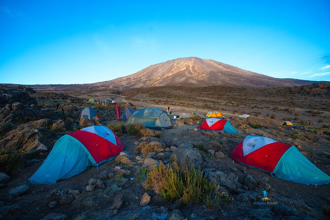 8 Day Kilimanjaro Trek via Lemosho Route - Moshi arrival and the first night