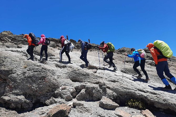 8 Day Mount Kilimanjaro Trekking Lemosho Route - Why the Lemosho Route Works Well for Eight Days