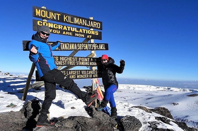 8 Day Mount Kilimanjaro Trekking Lemosho Route - Day 5: Climbing the Barranco Wall to Karanga