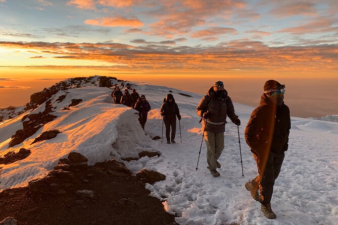 8 Day Mount Kilimanjaro Trekking Lemosho Route - Day 6: Barafu Camp and the Long Pause Before the Summit