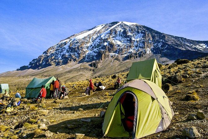 8 Day Mount Kilimanjaro Trekking Lemosho Route - Day 1: Forest Trails from Lemosho Gate to Mti Mkubwa