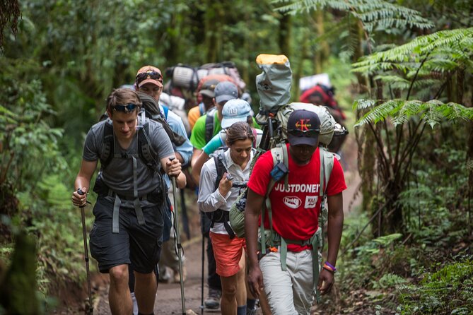 8-Day Small-group Lemosho Kilimanjaro Summit Trekking - Day 5: The Barranco Wall and Karanga Valley
