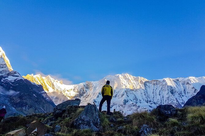 8 Days Annapurna Base Camp Budget Trek from Kathmandu - Day 7: Jhinu to Nayapul, then back to Pokhara