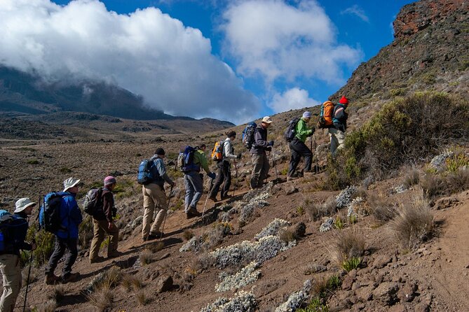 8 Days Guided Private Trekking in Mount Kilimanjaro - Key points to know before booking