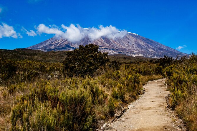 8 Days Guided Private Trekking in Mount Kilimanjaro - Why this Kilimanjaro route deserves eight days