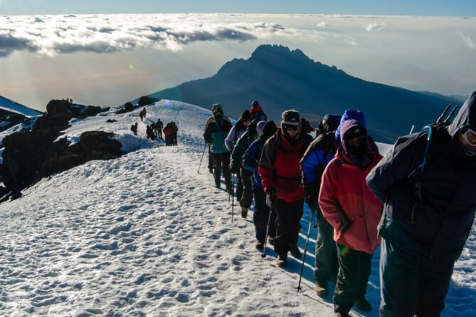 8 Days Guided Private Trekking in Mount Kilimanjaro - Day 2: From rainforest to Shira 1