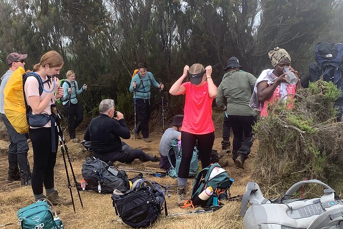 8 Days Guided Private Trekking in Mount Kilimanjaro - Day 3: Shira 2 and the alpine desert