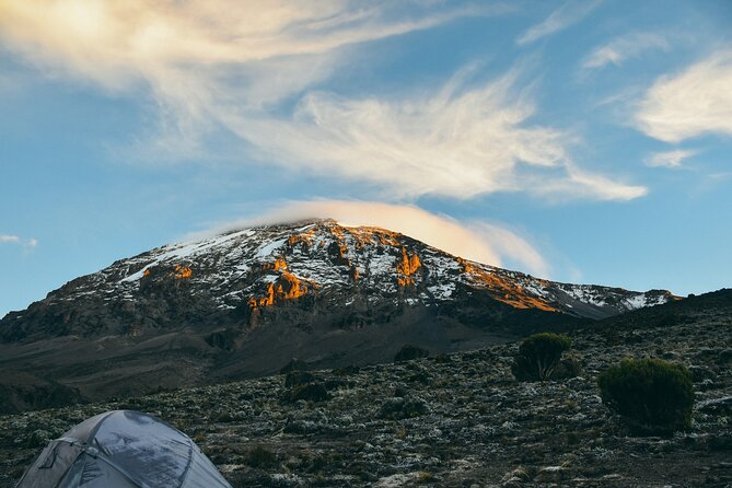 8 Days Guided Private Trekking in Mount Kilimanjaro - Day 1: Londorossi Gate to Mti Mkubwa Camp