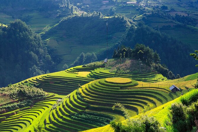 8-Days Hanoi, Sapa Trekking And Halong Bay Cruise - Hanoi arrival and a gentle first evening