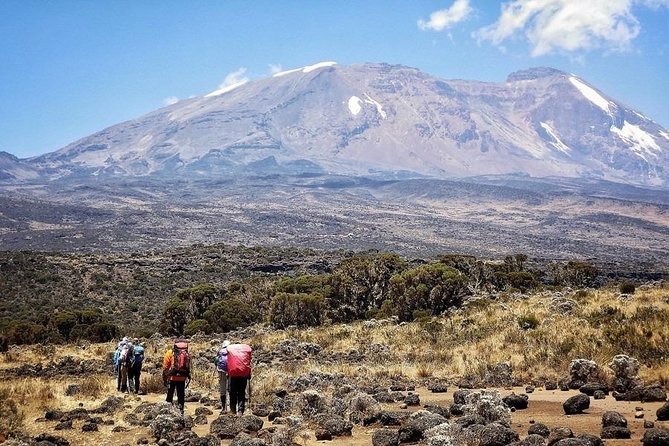 8 Days Lemosho Route Kilimanjaro Trekking - Why Lemosho is Kilimanjaro’s scenic choice