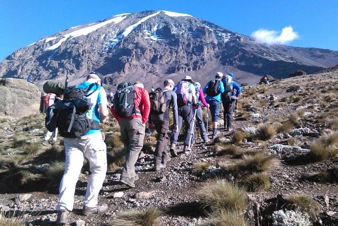 8 Days Lemosho Route Kilimanjaro Trekking - Day 1: Arusha to the rainforest near Londorossi