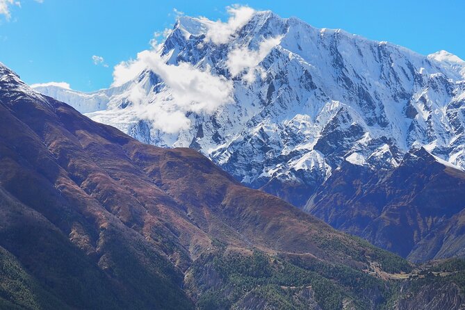 8 Days Private Guided Trekking in Annapurna Circuit with Pickup - Day 5: Yak Kharka and the high alpine zone