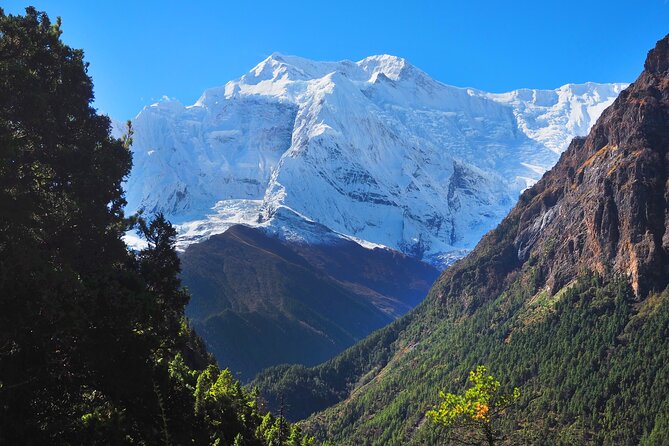 8 Days Private Guided Trekking in Annapurna Circuit with Pickup - Day 6: Toward Thorong High Camp