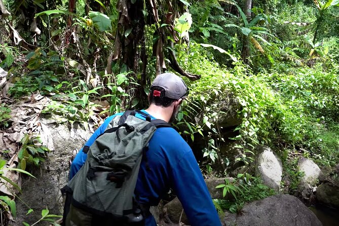 8KM White Water Rafting and 3HRS Jungle Trekking Adventure - Three hours on a jungle trail