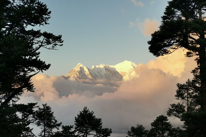 9 Days GHOREPANI POONHILL TREK - Day 1: A soft landing in Thamel