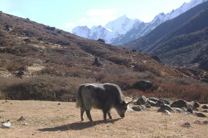 9 Days LANGTANG VALLEY TREKKING IN NEPAL - The Road to Syabrubesi Passes Through Dhunche