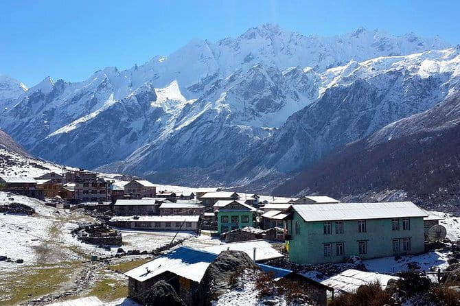 9 Days LANGTANG VALLEY TREKKING IN NEPAL - Ghodatabela Brings You Back Through the Forest