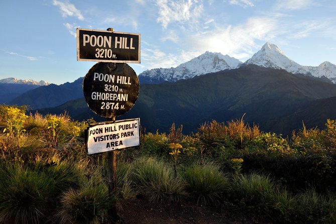 9 Days short and Easy Ghorepani Poonhill Trekking in Nepal - The stone steps to Ghorepani