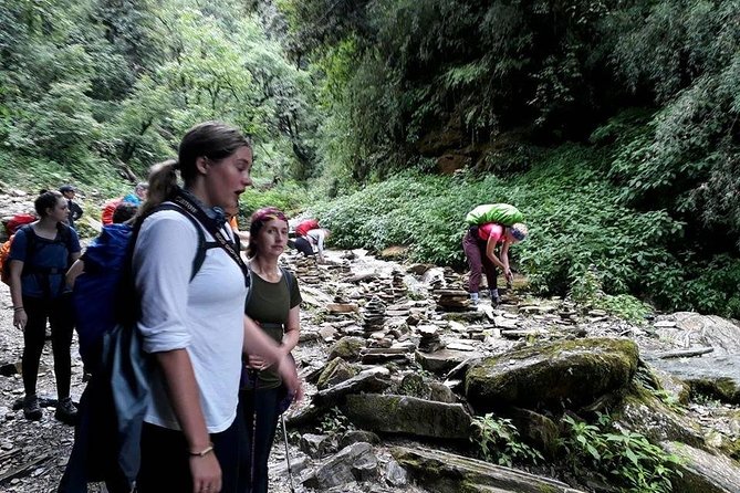 9 Days short and Easy Ghorepani Poonhill Trekking in Nepal - The final walk through Birethanti