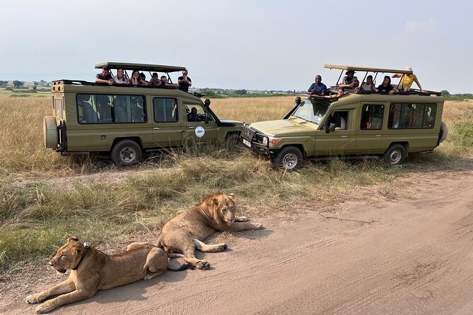 9 Days Uganda Wildlife Safaris, Gorilla Trekking & Hiking - Day 2: Rhino tracking on the way to Murchison Falls