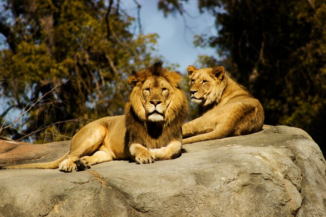9 Days Uganda Wildlife Safaris, Gorilla Trekking & Hiking - Day 4: A long transfer to Kibale Forest