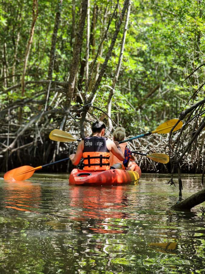 A Jungle-to-Sea Kayaking & Trekking Adventure in Phuket - Kayaking through Bang Rong’s mangrove channels