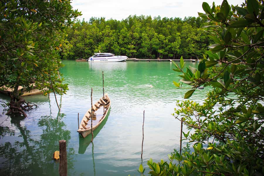 A Jungle-to-Sea Kayaking & Trekking Adventure in Phuket - Weather, age, and what to bring
