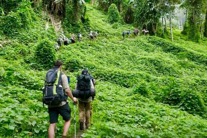 ADVENTURE KOKODA 10-Day Premium Kokoda Campaign Trek Australian Led - Days 5 and 6 cross the central ridges