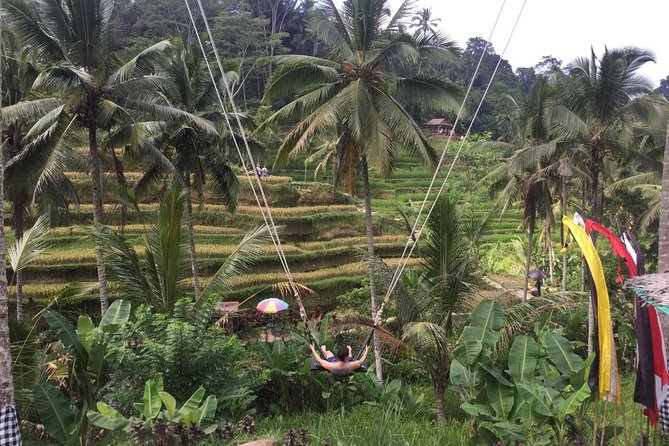 Adventures Tour : Bali Hidden Canyon Trekking - Beji Guwang - Why This Bali Day Trip Works