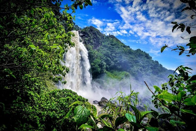 Aerial Hammocks, Zip and Waterfall Trek on Medellin Private Tour - What the $249.99 price really covers