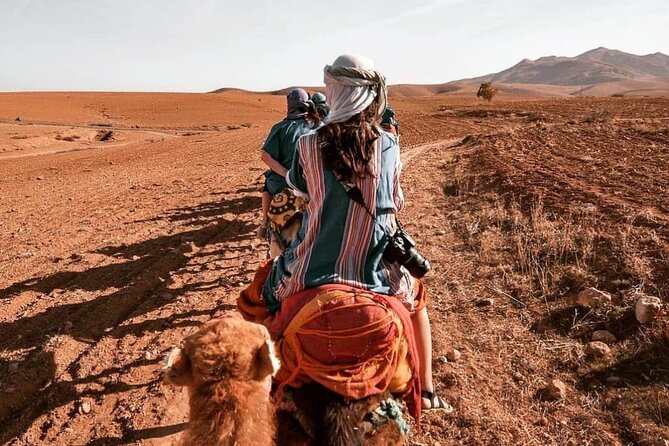 Agafay Desert-And Atlas Mountains & Camel-Trek-Day Trip From Marrakech - Key points to know before booking