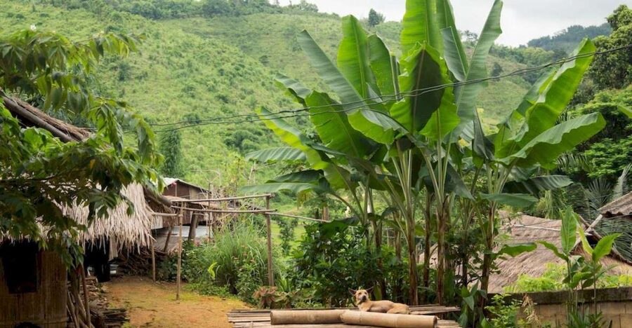 Akha & Lahu village trekking 1 day - Key points to know before you go