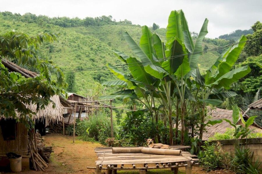 Akha & Lahu village trekking 1 day - A waterfall stop at Mae Sai