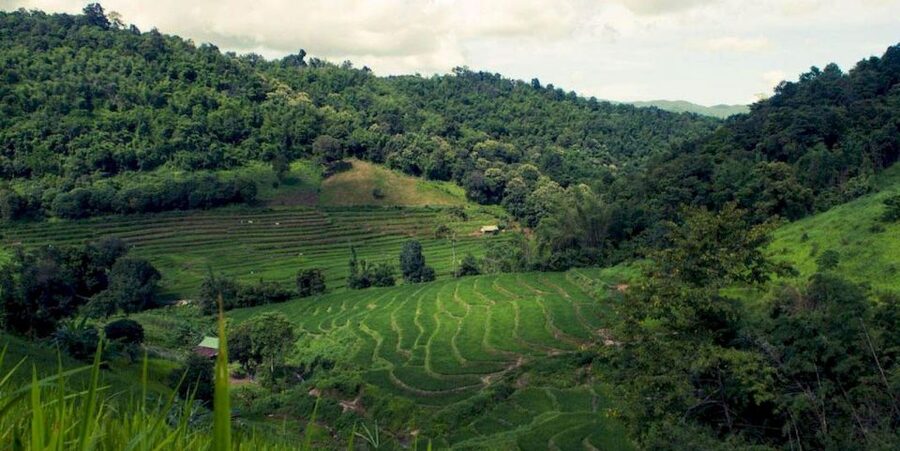 Akha & Lahu village trekking 1 day - What the $87 price includes