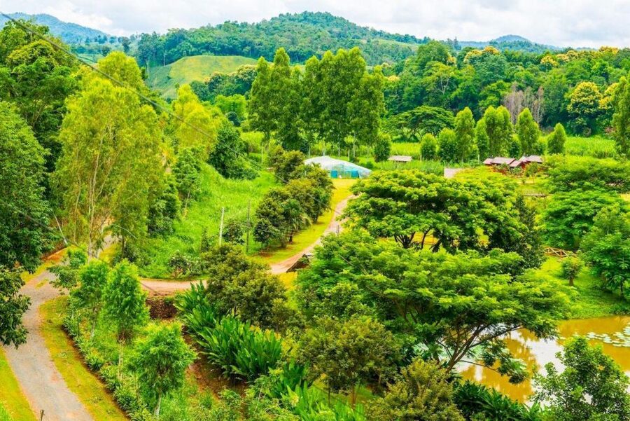 Akha & Lahu village trekking 1 day - Starting with coffee, tea, and the road to the hills