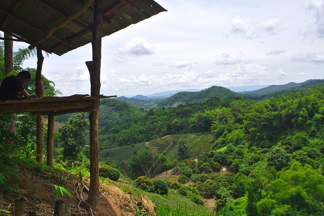 Akha private eco-trekking 2 days 1 night Chiang Rai - Day two begins with breakfast and mountain activities