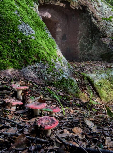 Alghero: trekking in the Porto Conte park - The snack stop: breakfast, aperitif, and local flavor