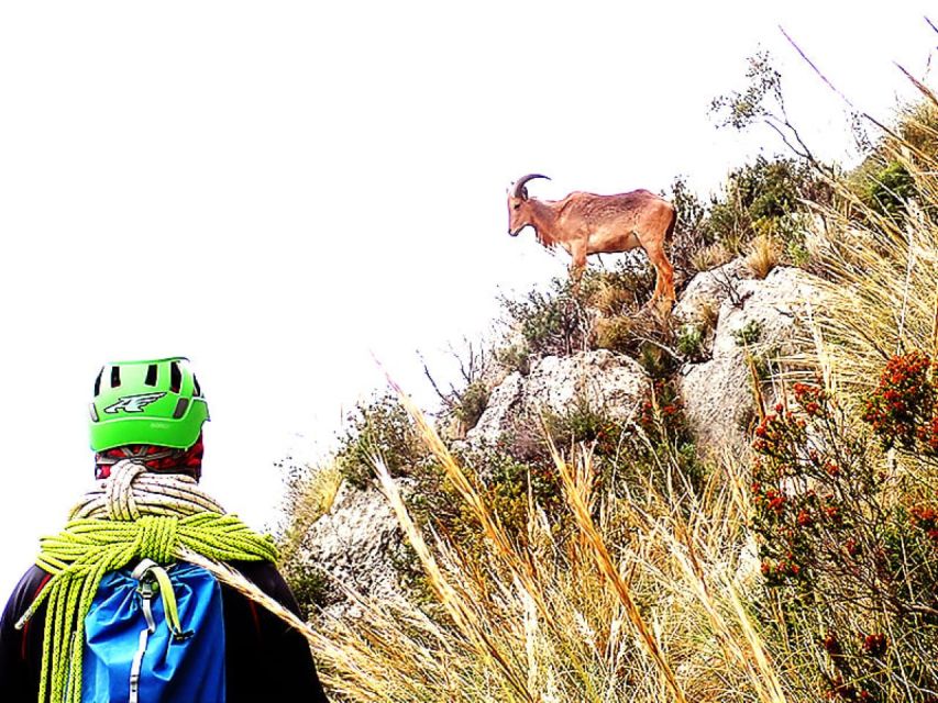 Alicante: Via Ferrata del Ponoig Guided Trek and Climb - Views over the Guadalest Valley and Mediterranean
